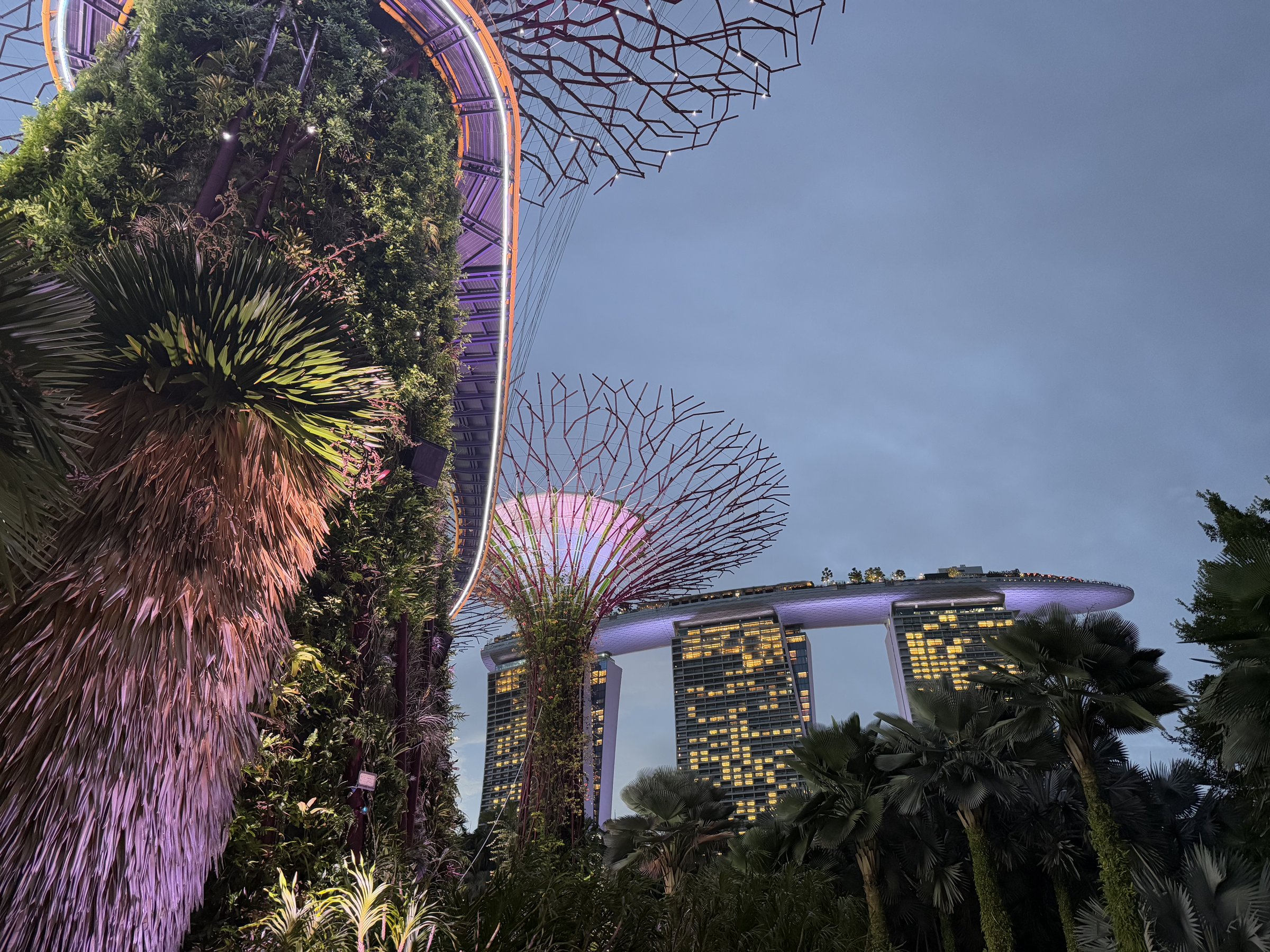 Supertrees