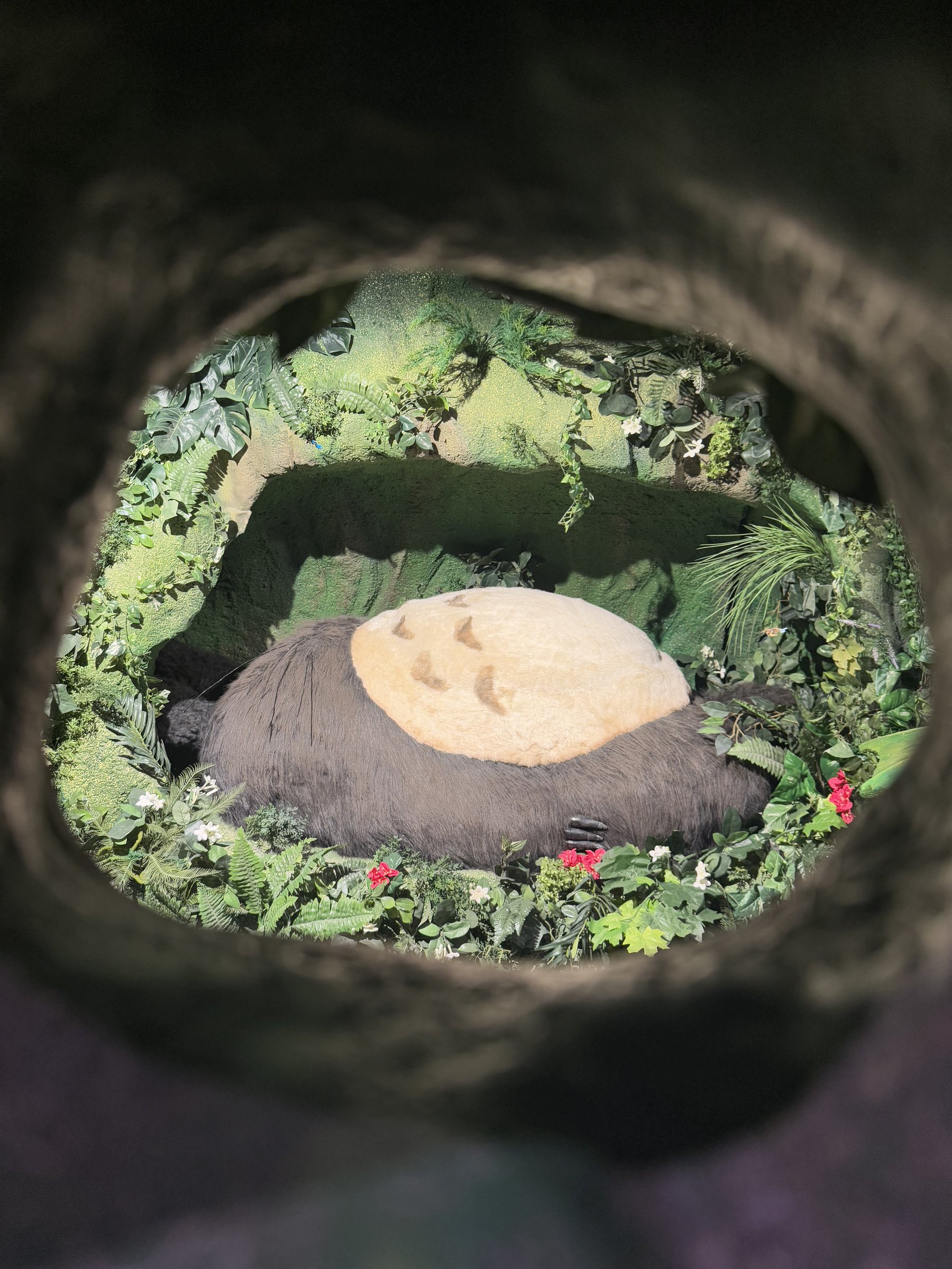 Sleeping Totoro
