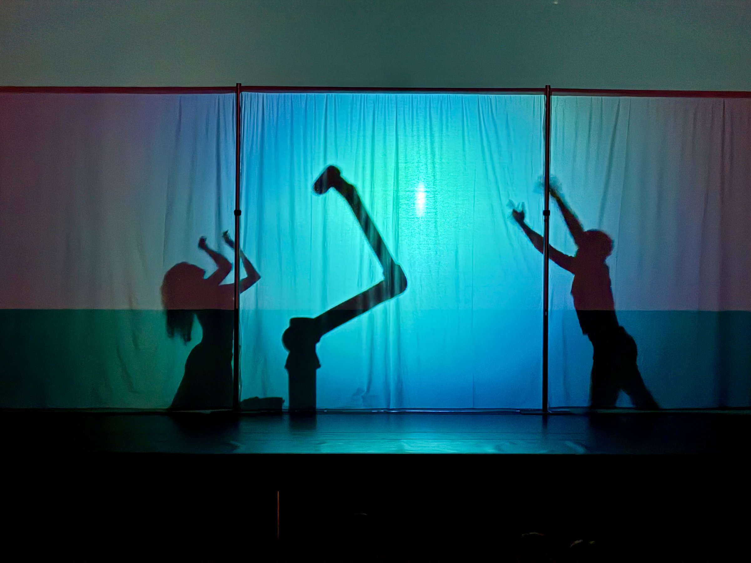 Human–robot shadow performance