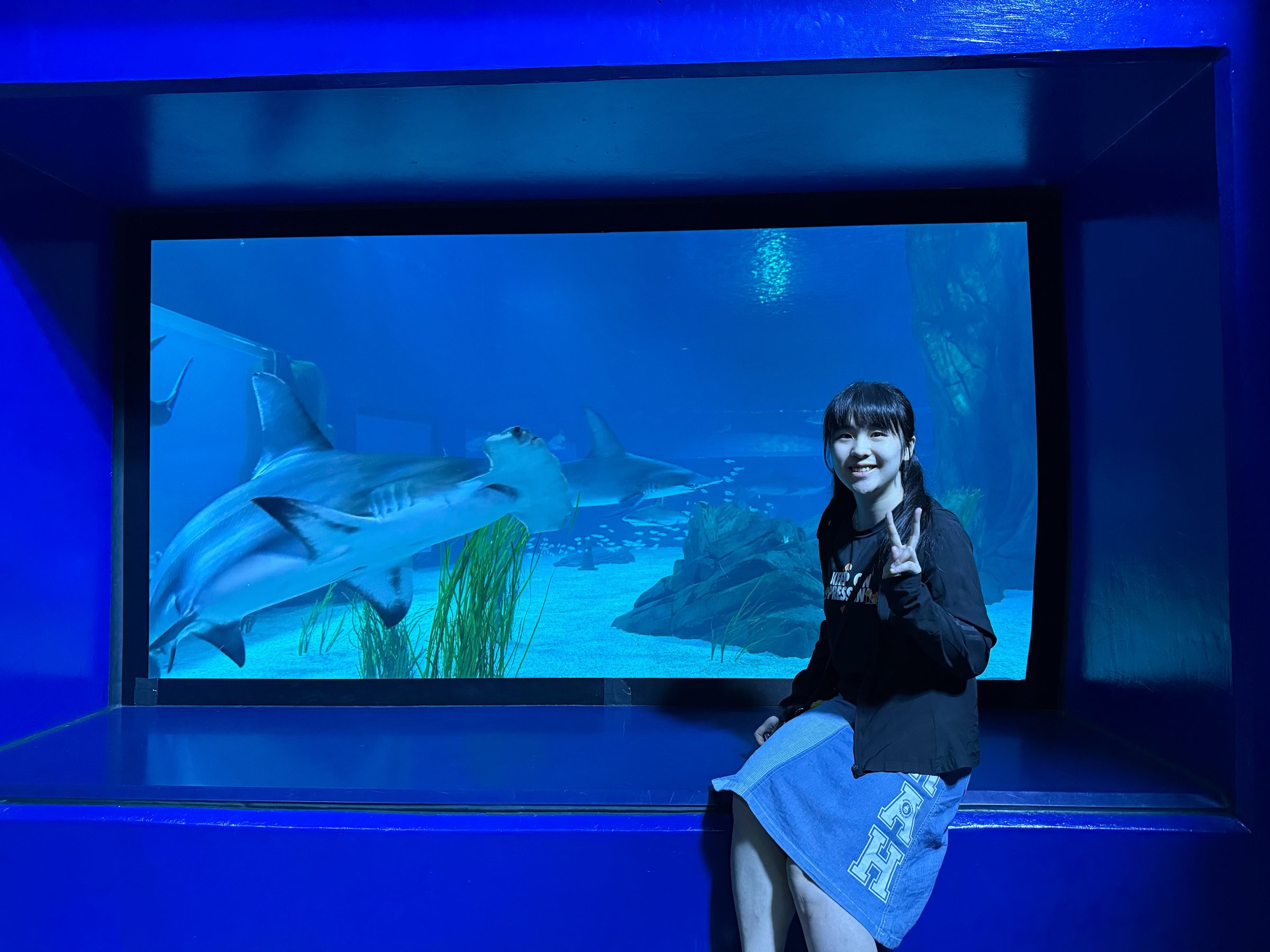 Georgia Aquarium with sharks