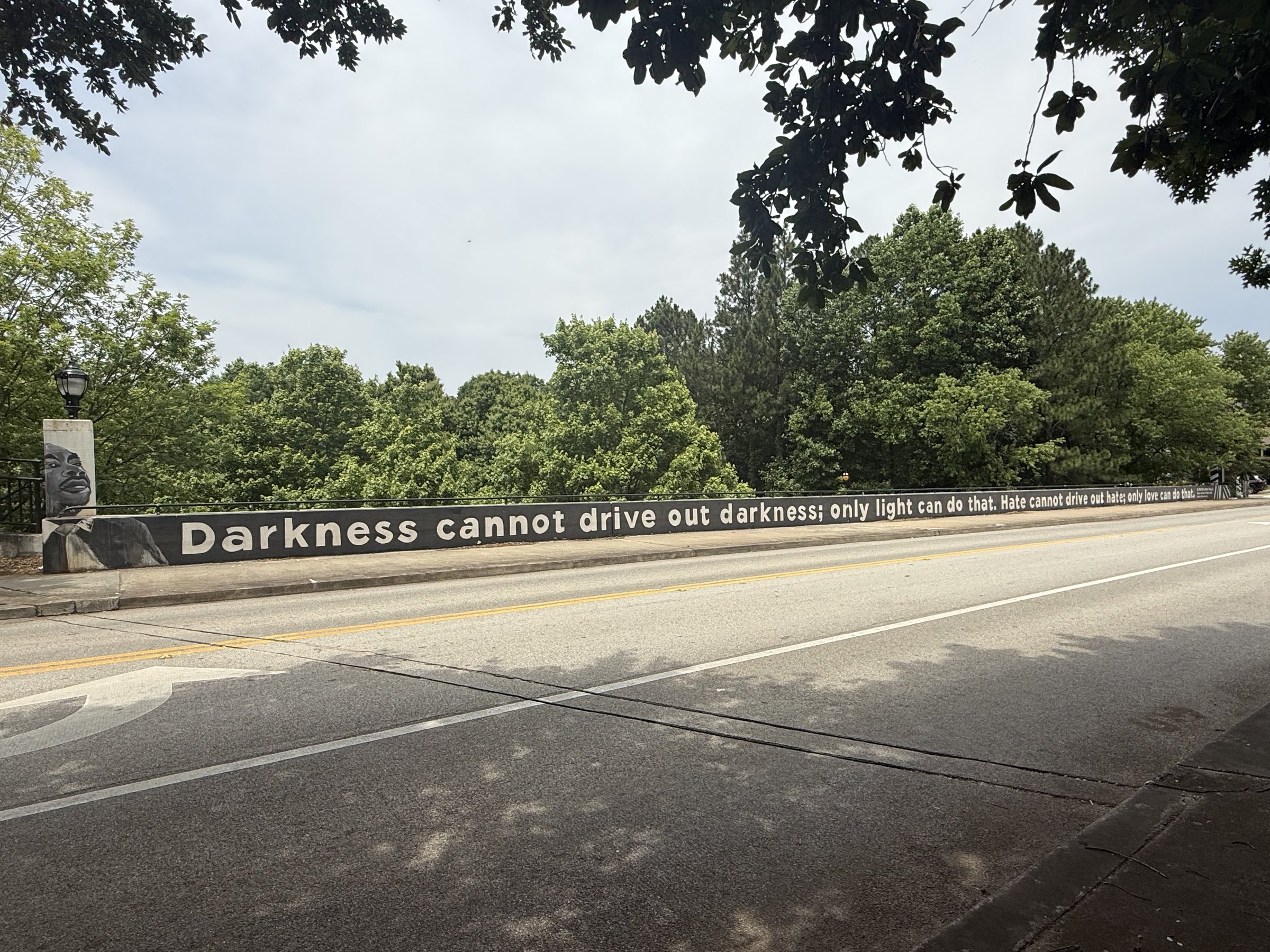 “Darkness cannot drive out darkness; only light can do that. Hate cannot drive out hate; only love can do that.”
