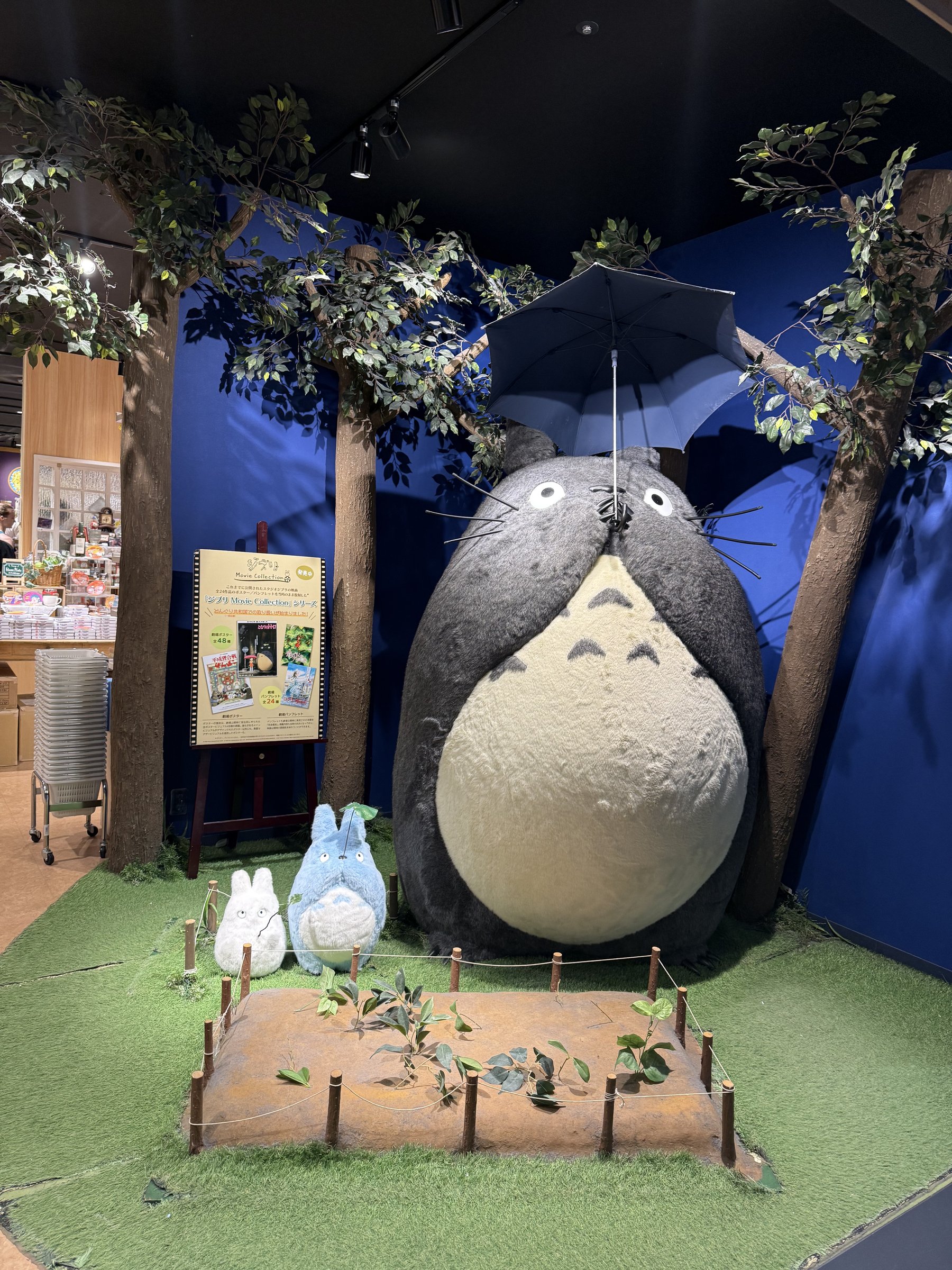 Totoro💕