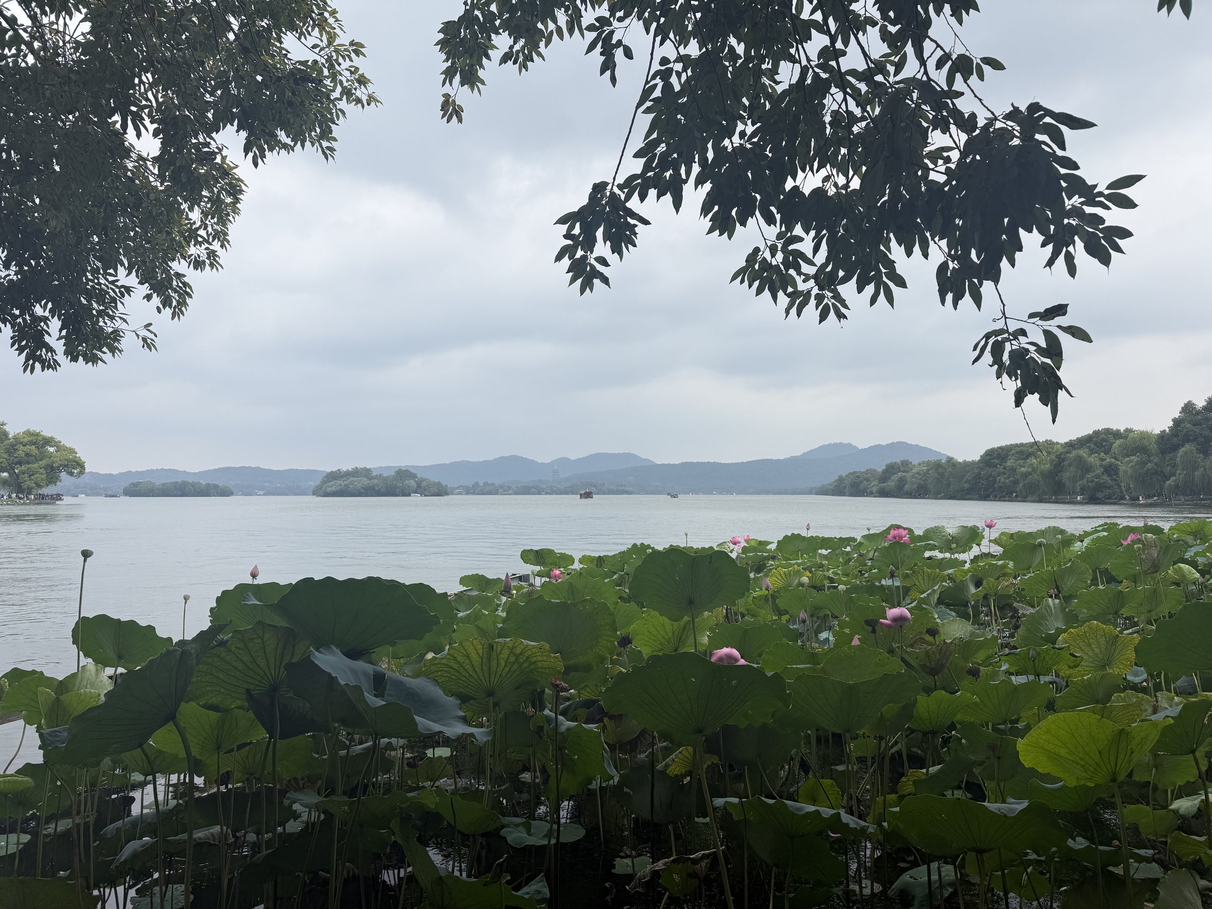 West Lake (西湖)
