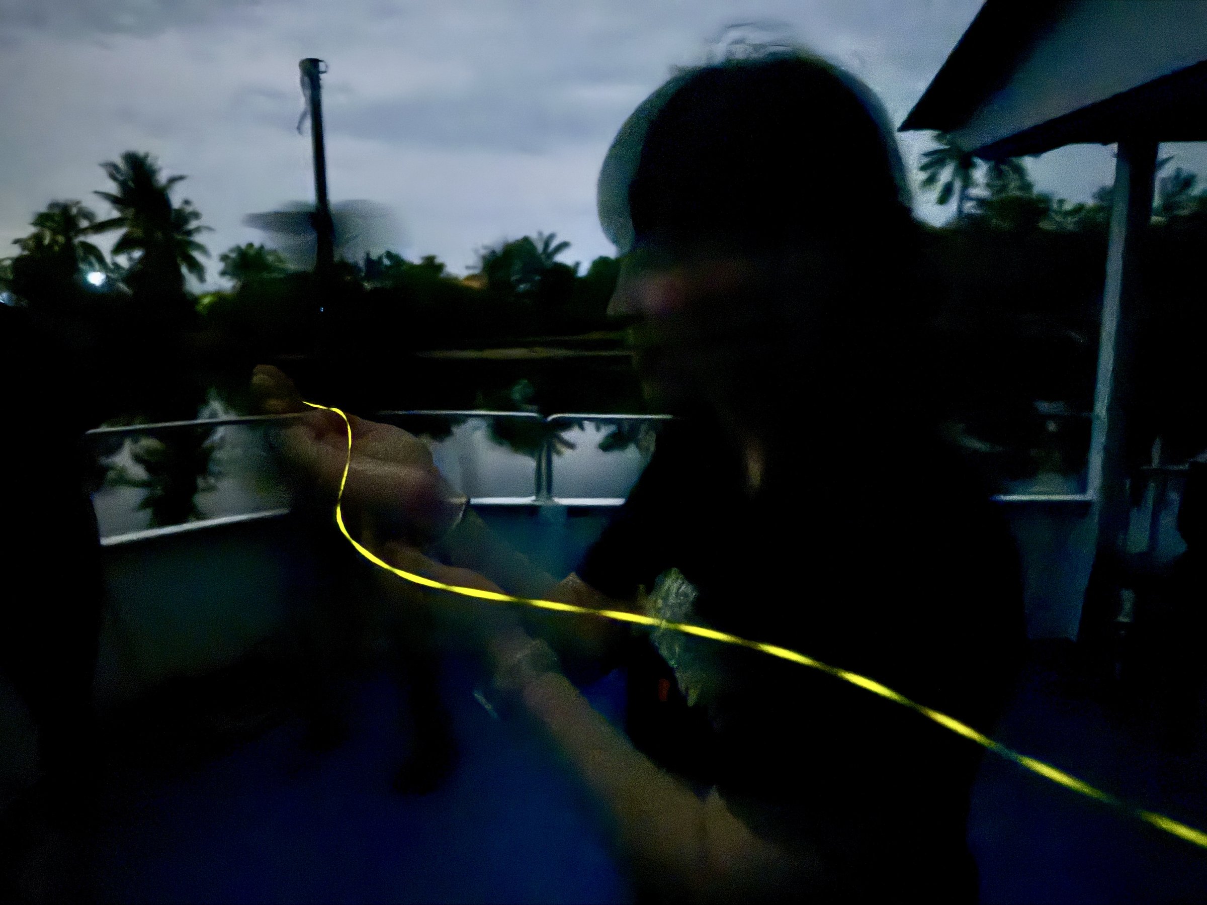 Fireflies on my hand